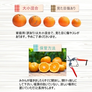 【先行予約】 【産地直送】 有田 育ちの ご家庭用 完熟 清見 オレンジ 1kg+100g(補償分) / みかん 甘い オレンジ フルーツ 果物 有田 和歌山 ※2026年2月下旬~2026年3月下旬に順次発送 ※北海道・沖縄・離島への配送不可【ard011-c-1】