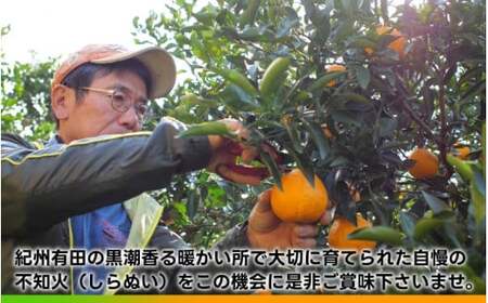 タカじいの 不知火 ( しらぬい ） 3kg / デコポン 甘い 和歌山 有田 柑橘 ※3月上旬〜3月下旬に順次発送 【krs010-r-3】