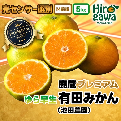 鹿蔵 プレミアム 有田みかん ( ゆら早生 ) 5kg+250g（傷み補償分） 光センサー 選果 ※北海道・沖縄・離島への配送不可 ※2026年10月上旬～11月中旬頃に順次発送/ 温州 みかん 厳選 柑橘 果物 フルーツ 和歌山 【ikd003-prem-5A】