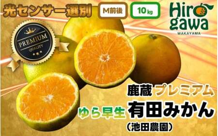 鹿蔵 プレミアム 有田みかん ( ゆら早生 ) 10kg+250g（傷み補償分） 光センサー 選果 ※北海道・沖縄・離島への配送不可 ※2026年10月上旬～11月中旬頃に順次発送 / 温州 みかん 厳選 柑橘 果物 フルーツ 和歌山 【ikd003-prem-10A】