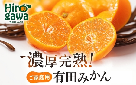 有田育ちの ご家庭用 完熟 有田みかん 5.2kg(5kg+200g) 農家直送 わけあり 訳あり ※2026年11月上旬から下旬頃に順次発送予定 / 温州みかん みかん フルーツ 果物  柑橘 くだもの 人気 和歌山 【配送不可地域：北海道・離島・沖縄県】【ard004-c-5d2-11】