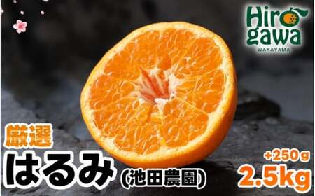 はるみ 厳選 2.5kg+250g(痛み補償分) 光センサー / デコポン 姉妹品種 甘い 高級 和歌山 有田 柑橘 ※2月上旬〜3月下旬に順次発送予定 ※北海道・沖縄・離島への配送不可 【ikd013-p-2d5A】