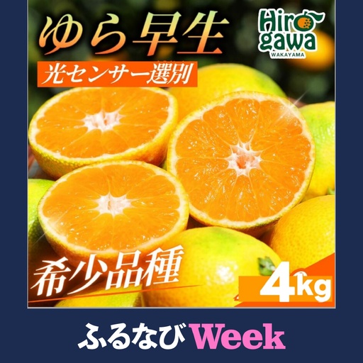 【先行予約】由良早生 みかん 家庭用 4kg / ゆら早生 温州みかん 極早生 甘い 家庭用 和歌山 柑橘 ※2026年10月上旬～11月上旬順次発送 ※北海道・沖縄・離島への配送不可 【nuk003-yura-4A】