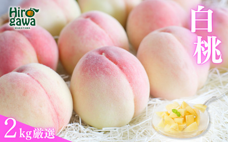厳選 白桃 2kg / 桃 もも 甘い 高級 和歌山 ※7月上旬～8月中旬に順次発送 ※北海道・沖縄・離島への配送不可 【ikd501-p-2A】