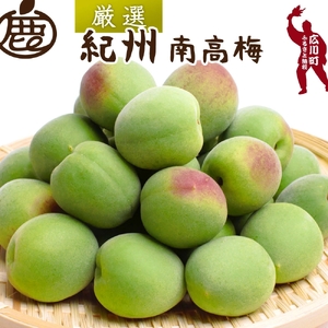 青梅 厳選 南高梅 1kg+250g（痛み補償分） / 梅 梅ジュース 梅酒 梅干し 高級 和歌山 ※5月~6月発送予定 ※北海道・沖縄・離島への配送不可 【ikd508-p-1G】 6,390円