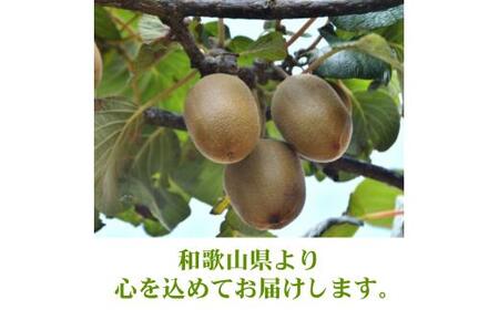 キウイ 厳選 5kg+250g(痛み補償分) / キウイフルーツ 高級 和歌山 大容量 ※2025年11月中旬~2026年6月中旬に順次発送 ※北海道・沖縄・離島への配送不可【ikd505-p-5B】
