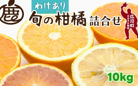 柑橘 詰合せ 10kg+250g 訳あり 光センサー / みかん 不知火 清見 八朔 伊予間 セミノール レモン ３種類以上 詰め合わせ 晩柑 ※1月上旬〜6月上旬に順次発送 ※北海道・沖縄・離島への配送不可【ikd049-c-10A】