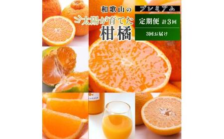 【10～12月】柑橘 定期便 M【全3回】【和歌山】 ※北海道・沖縄・離島への配送不可 / 定期便 フルーツ はっさく せとか 不知火 清見オレンジ カラマンダリン みかんゼリー ハウスみかん ゆら早生 有田みかん 【ikd050-m1012-p】