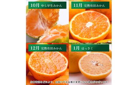 【4～6月】柑橘 定期便 M 家庭用【全3回】【和歌山】 ※北海道・沖縄・離島への配送不可 / 定期便 フルーツ はっさく せとか 不知火 清見オレンジ カラマンダリン みかんゼリー ハウスみかん ゆら早生 有田みかん  //teiki 【ikd050-m46-c】