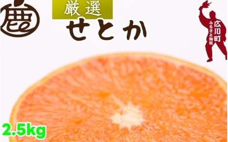 厳選 せとか 2.5kg+250g（痛み補償分） 光センサー / 高級 甘い 和歌山 柑橘 ※2月中旬～3月下旬頃発送 ※北海道・沖縄・離島への配送不可 【ikd014-p-2d5A】
