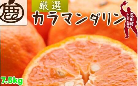 カラマンダリン 7.5kg+250g(痛み補償分) 厳選 / カラ カラオレンジ カラみかん 南津海 なつみ 高級 和歌山 有田 柑橘 晩柑 ※4月上旬~5月順次発送 ※北海道・沖縄・離島への配送不可 【ikd015-p-7d5】