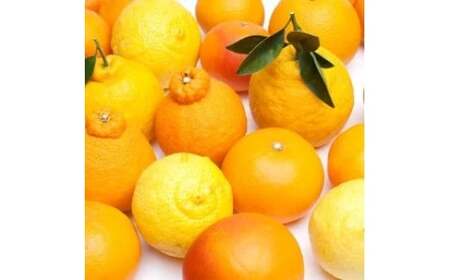 柑橘 詰合せ 2.5kg+250g（痛み補償分） 厳選 光センサー / 高級 みかん 不知火 清見 八朔 伊予間 セミノール レモン ３種類以上 詰め合わせ 晩柑 ※1月上旬～6月上旬頃に順次発送 ※北海道・沖縄・離島への配送不可 【ikd049-p-2d5A】