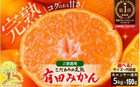 有田 みかん 訳あり 5kg 光センサー 選別 / 温州みかん 有田みかん 甘い 家庭用 和歌山 柑橘 ※2026年11月順次発送 ※北海道・沖縄・離島への配送不可【nuk004-c-5-novH】 6,480円