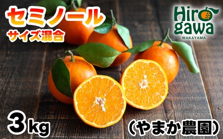 セミノール 3kg サイズ混合 M～2L / 秀品 優品 甘い 和歌山 有田 柑橘 ※4月下旬〜5月上旬に順次発送【ymk016-r-3】