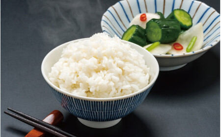 ▼和歌山県産 キヌヒカリ 10kg（2025年産・令和7年産）産地直送  【sml400-kinu-10D】