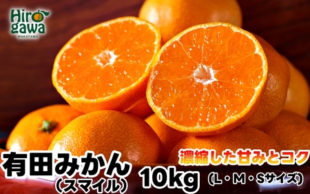 有田 みかん 10kg 秀品 / 温州みかん 有田みかん 甘い 和歌山 柑橘 ※11月下旬～1月中旬に順次発送 【sml004-r-10A】