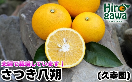 完熟 さつき 八朔 10kg / はっさく 甘い 和歌山 柑橘 ※4月上旬～5月上旬頃に順次発送予定【hsk022-r-10】 7,020円
