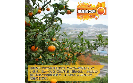 ▼有田みかん約10kg　家庭用　頑固オヤジのこだわりみかん ※2024年11月中旬～2025年1月上旬頃より順次発送予定 【krf004-c-10】