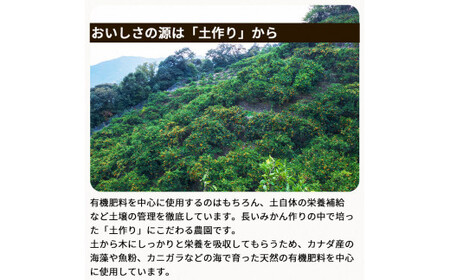 ▼有田みかん約10kg　家庭用　頑固オヤジのこだわりみかん ※2024年11月中旬～2025年1月上旬頃より順次発送予定 【krf004-c-10】