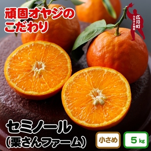 セミノールオレンジ 5kg（小さめサイズ混合）　※2024年4月中旬～5月中旬頃より順次発送予定　【krf016-s-5】