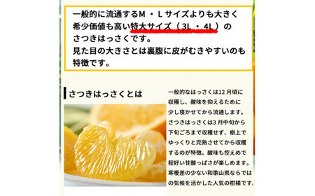 ▼＜紀州有田産＞タカじいの 完熟 さつきはっさく 5kg (特大サイズ)  ※2025年4月上旬～4月下旬頃に順次発送予定【krs022-l-5】