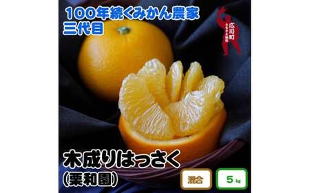 ▼和歌山県有田産 木成りはっさく 5kg ※3月中旬～4月上旬頃順次発送予定 ※着日指定不可  【krw022-r-5】