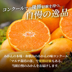 有田 みかん 特選 5kg 【 創業120年 農家直送 】 / 温州みかん 有田みかん 甘い 高級 和歌山 柑橘 ※2026年11月中旬～2027年1月下旬に順次発送 【isy004-r-5B】