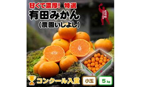 ▼有田みかん【創業120年農家直送】 5kg 小玉・小粒サイズ ※2024年11月より順次発送予定  【isy004-s-5】