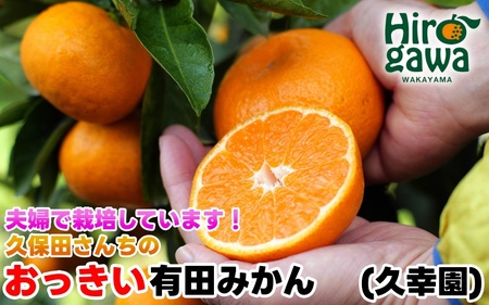 おっきい 有田 みかん 7kg 久幸園 / 温州みかん 有田みかん 甘い 大玉 和歌山 柑橘 ※12月上旬から1月下旬順次発送 【hsk004-l-7A】