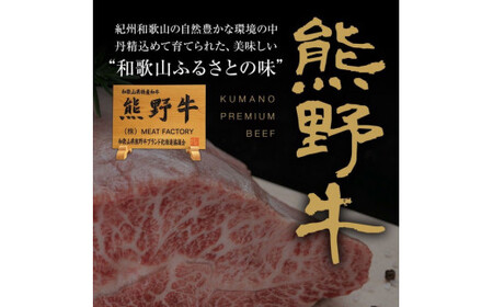 ▼熊野牛 リブロースステーキ 200g×2枚　国産牛 リブロース ステーキ BBQ 冷凍 熊野牛 【mtf300-rib-400B】