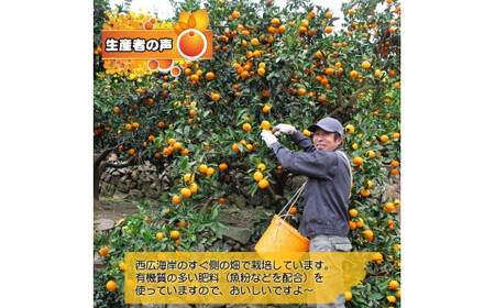 大好き みかん 5kg ご家庭用 サイズ混合 / 温州みかん 有田みかん 甘い 柑橘 和歌山 ※11月中旬頃より1月中旬頃に順次発送予定 【nkh004-c-5】