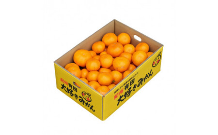 大好き みかん 5kg ご家庭用 サイズ混合 / 温州みかん 有田みかん 甘い 柑橘 和歌山 ※11月中旬頃より1月中旬頃に順次発送予定 【nkh004-c-5】