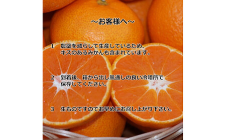 大好き みかん 5kg ご家庭用 サイズ混合 / 温州みかん 有田みかん 甘い 柑橘 和歌山 ※11月中旬頃より1月中旬頃に順次発送予定 【nkh004-c-5】