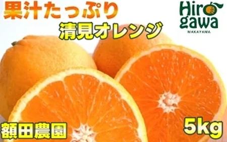 清見 オレンジ 5kg サイズ混合 光センサー / 清見オレンジ 清見タンゴール きよみ 清美 甘い 和歌山 柑橘※3月上旬～下旬に順次発送予定 ※北海道・沖縄・離島への配送不可 【nuk011-r-5B】