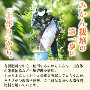 頑固オヤジの 有田 みかん 3kg 家庭用 / 温州みかん 有田みかん 甘い 訳あり 和歌山 柑橘 ※11月中旬～1月下旬に順次発送 【krf004-c-3A】