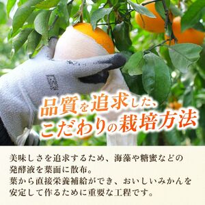 頑固オヤジの 有田 みかん 3kg 家庭用 / 温州みかん 有田みかん 甘い 訳あり 和歌山 柑橘 ※11月中旬～1月下旬に順次発送 【krf004-c-3A】