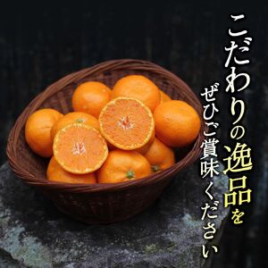 頑固オヤジの 有田 みかん 3kg 贈答用 / 温州みかん 有田みかん 甘い 贈答 和歌山 柑橘 ※11月中旬～1月下旬に順次発送 【krf004-p-3A】