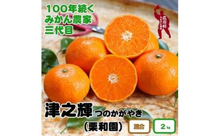 津之輝 2kg サイズ混合 有田産 ※2月中旬頃～4月上旬頃に順次発送予定 / みかん 柑橘 果物 和歌山 【krw020-r-2】