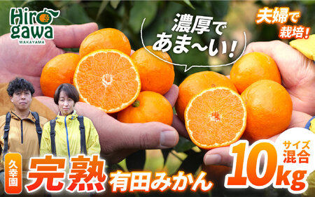 完熟 有田 みかん 訳あり 10kg 久幸園 / 温州みかん 有田みかん 甘い 家庭用 和歌山 柑橘 ※11～1月下旬順次発送 【hsk004-c-10D】