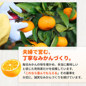 完熟 有田 みかん 訳あり 10kg 久幸園 / 温州みかん 有田みかん 甘い 家庭用 和歌山 柑橘 ※11～1月下旬順次発送 【hsk004-c-10D】