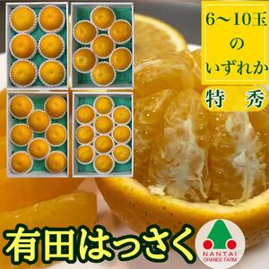 定期便 貯蔵 はっさく ＆ ハウス せとか 全2回 南泰園 特秀 セット みかん