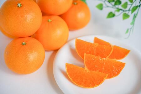 せとか ハーフ 化粧箱 せとか 柑橘の大トロ ハウス 厳選 8玉入 南泰園