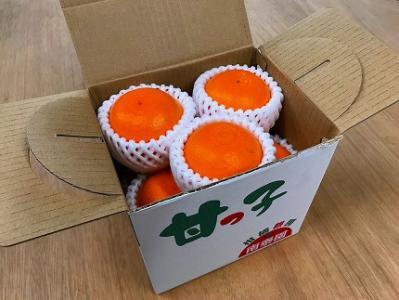 せとか 甘っ子 小玉 ハウス せとか 9玉入 手さげ箱 南泰園