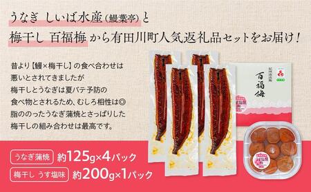 うなぎ蒲焼 4尾 合計 500g  紀州南高梅干 200g うす塩味 塩分10％ セット うなぎ
