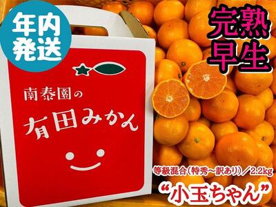 年内発送 完熟早生 有田みかん 小玉ちゃん 等級混合 2.2 kg