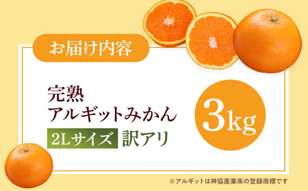 完熟 アルギット みかん 3kg 2L 大玉サイズ 訳あり みかん