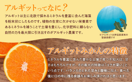 完熟 アルギット みかん 5kg S ~ M サイズ みかん