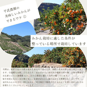 農家直送!有田みかん(約8kg Sサイズ 秀品)とジュースのセット 平武農園 ~蛍飛ぶ町から旬の便り~