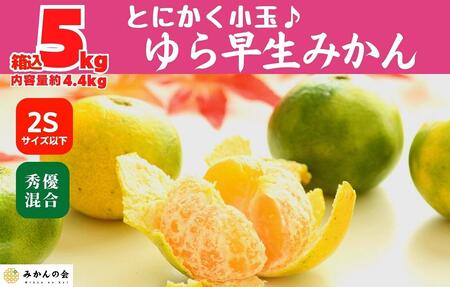 ゆら早生 みかん 2Sサイズ 秀優混合 箱込5kg(内容量 4.4kg)小玉ちゃん