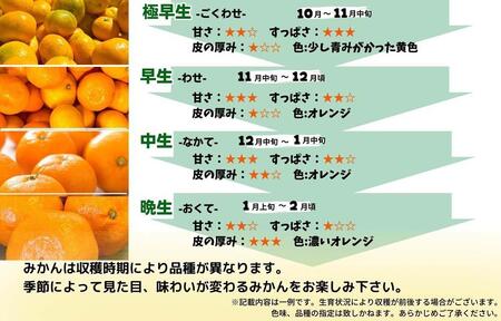 訳あり ゆら早生 みかん 箱込10kg(内容量 9.2kg)サイズミックス 有田みかん 和歌山県産 【みかんの会】［2026年10月下旬頃より順次発送予定］